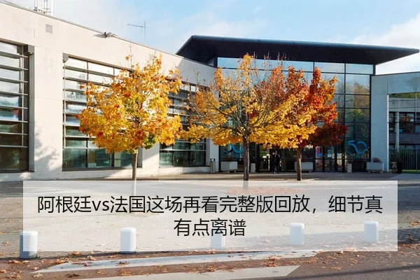 阿根廷vs法国这场再看完整版回放，细节真有点离谱