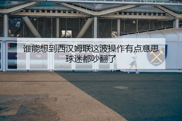 谁能想到西汉姆联这波操作有点意思 球迷都吵翻了