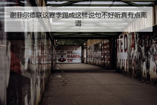 谢菲尔德联这赛季踢成这样说句不好听真有点离谱