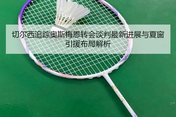 切尔西追踪奥斯梅恩转会谈判最新进展与夏窗引援布局解析